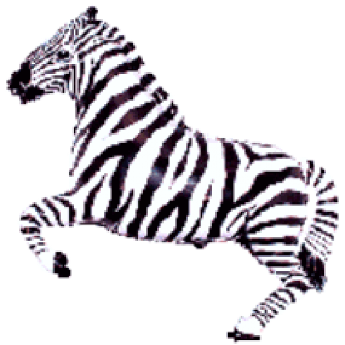 Balónik Zebra čierny - 35cm