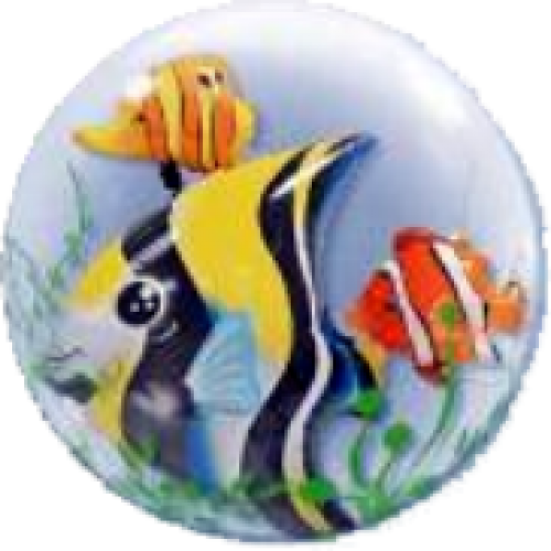 Q DB Seaweed Tropical Fish