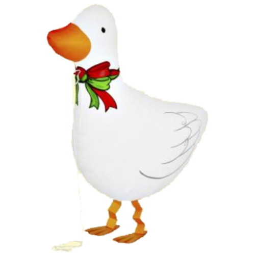 Balón Kačica