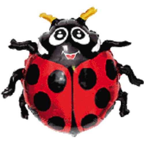 Balón Lienka