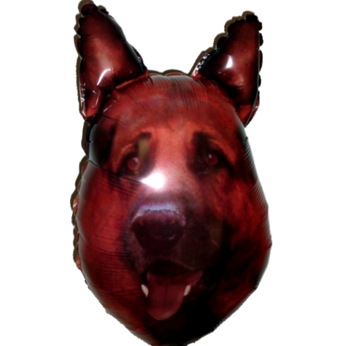 Balón REX