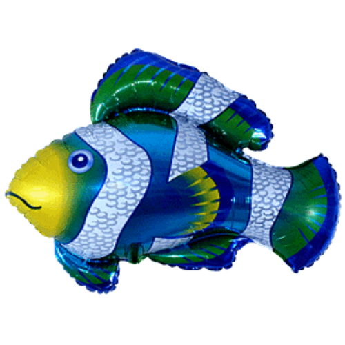 Balónik Ryba - klaun