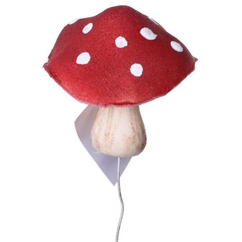 Zapich muchotrávka