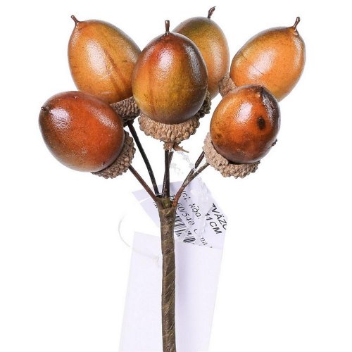 Zväzok žalude s/6 l:11cm