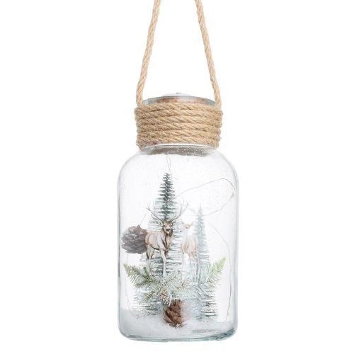 Fľaša čečina/stromčeky/jeleň/sneh led sklo 10*10*20cm - Vianočné dekorácie