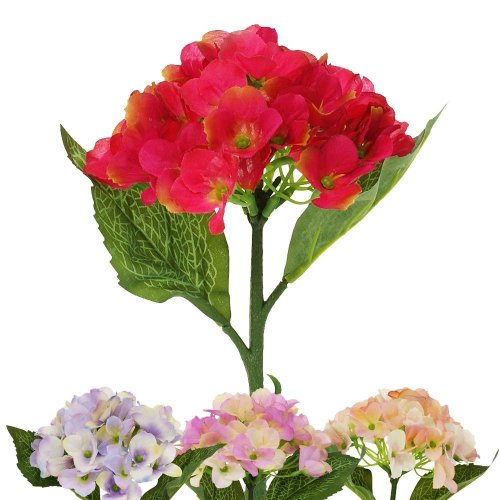 24flk01-0150 hortenzia 4f 32cm