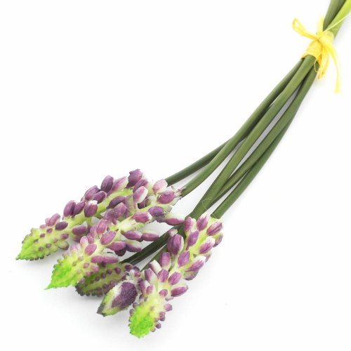 24flk01-0167 kytica muscari viaz.5ks/24cm gum