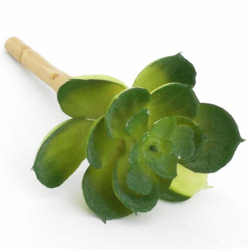 24flk02-0172 skalnička malá 10cm /gum