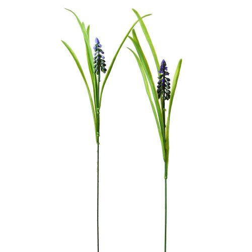 25flk020286 muscari ks/gum 55 cm