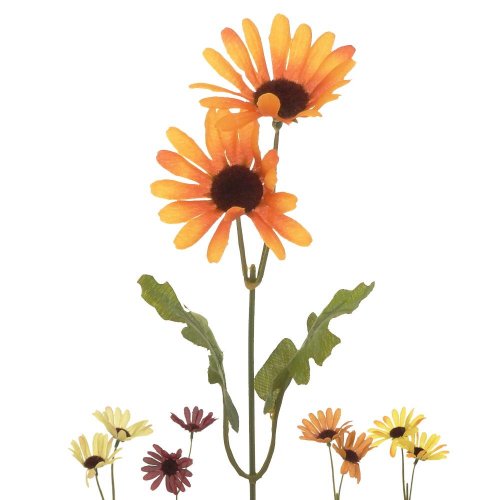 25020344 ks margarétka 5 f 35cm