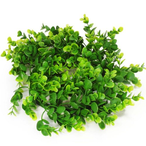 24flk02-0207 veniec  eucalyptus 30cm