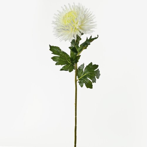 Ks chryz. biela 90cm