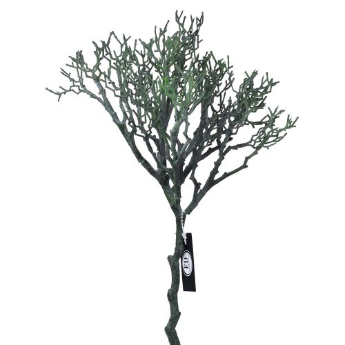 Konár čučoriedka zelený 37cm