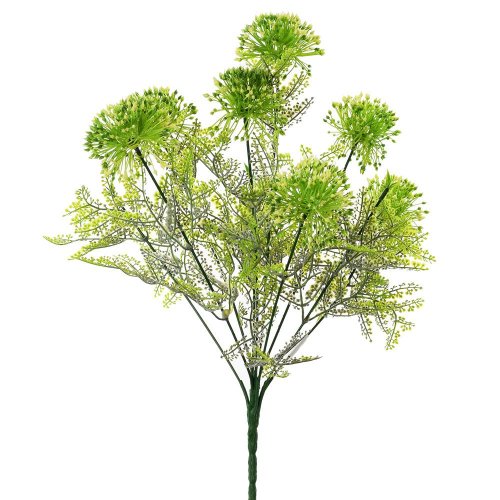 Zápich cesnak biely 41cm