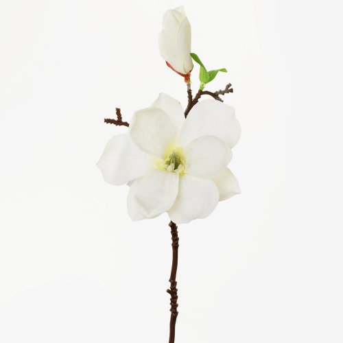 Konár magnólia biela 36cm