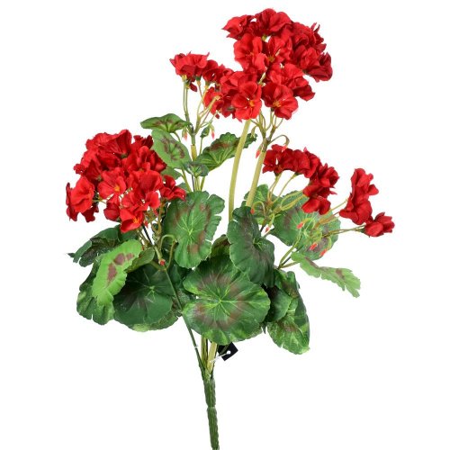 Kytica muškát 46cmčervený