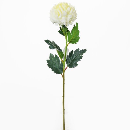 Chryzantéma smot.ks 59cm