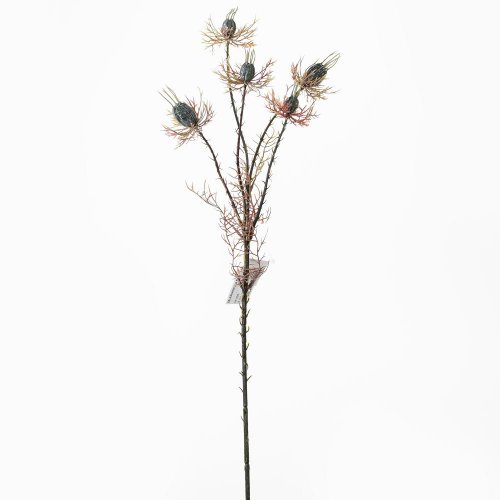 Ks zeleň nigella 59cm