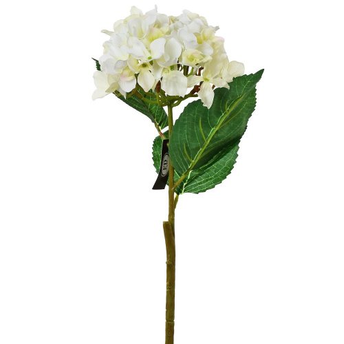 Ks hortenzia biela 50cm