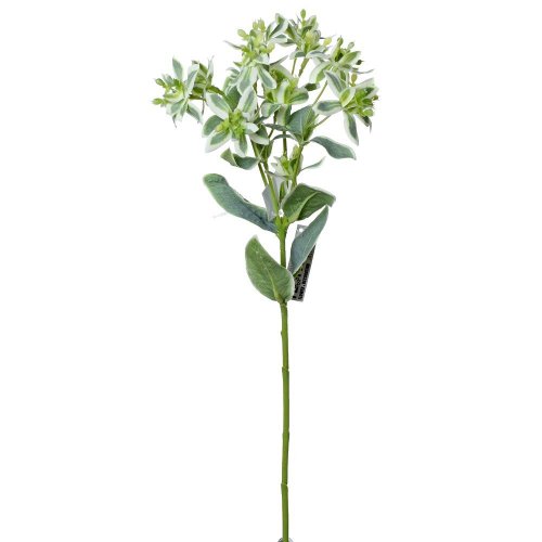 Ks zeleň mliečnik 47cm - Umelé kvety