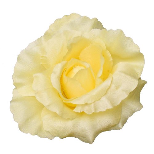 Hlava ruža marhuľová p:10cm bal:12ks