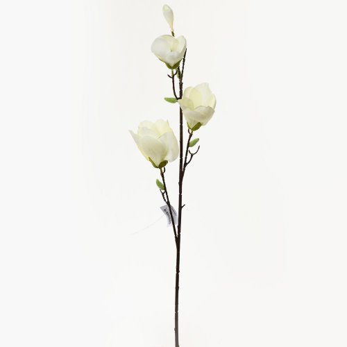 Ks magnólia biela 82cm