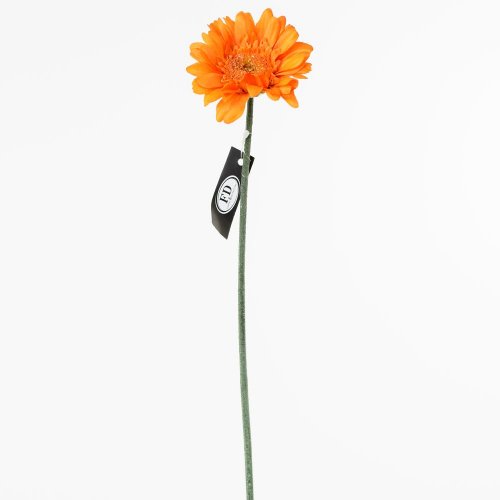 Ks gerbera oranžová 45cm