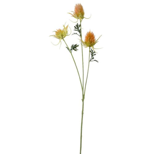 Ks bodliak oranžový 72cm f3