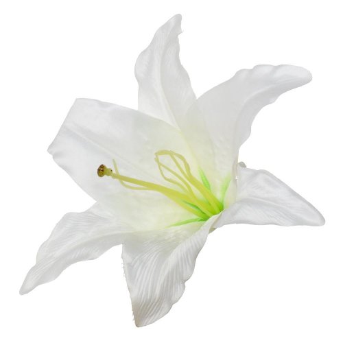 Hlava ľalia biela 18cm bal:10ks