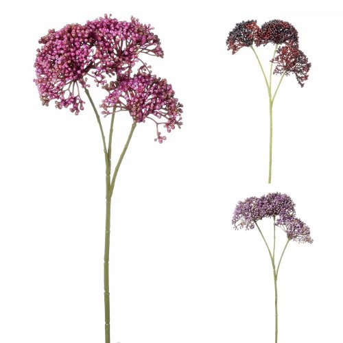 Sedum mix 3f 36cm