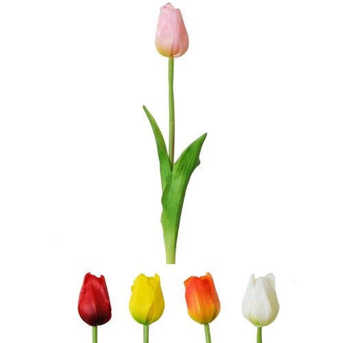 Ks tulipán 5f 47cm