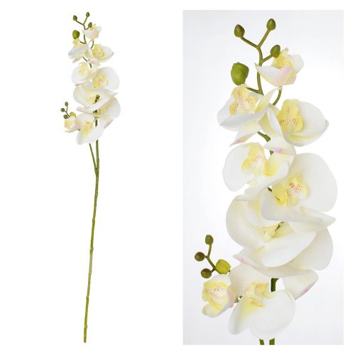 Ks orchidea biela 88cm