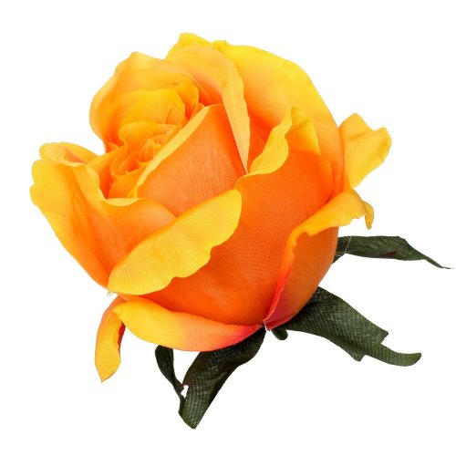 Hlava ruža oranžová priem:8cm bal:12cm