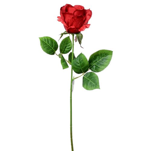 Ks ruža červ. 45cm