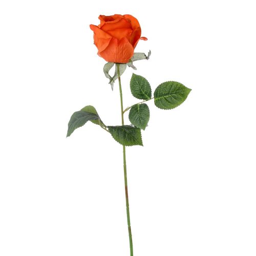 Ks ruža oranž. 45cm