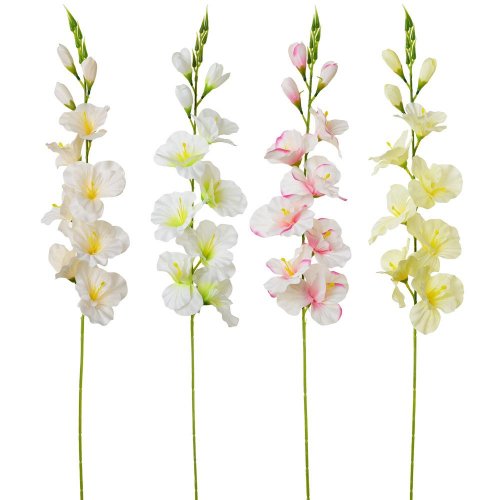 Ks gladiola 4f 80cm