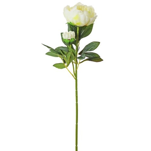 Ks pivonia biela 70cm