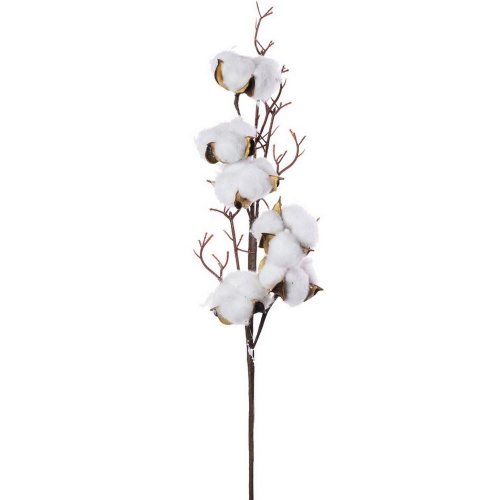 Konár bavlna vačšia 48cm
