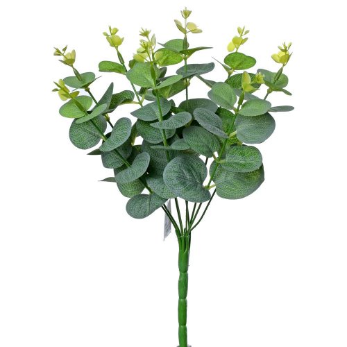 Zápich eucalyptus 31cm