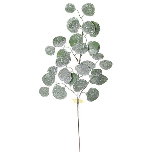 Konár eucalyptus osnež.72cm
