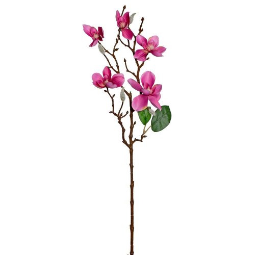 Konár magnólia tm.ruž. 66cm