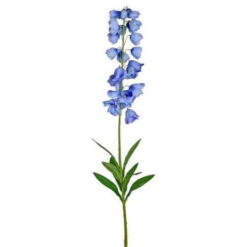 Ks campanula modrá 94cm