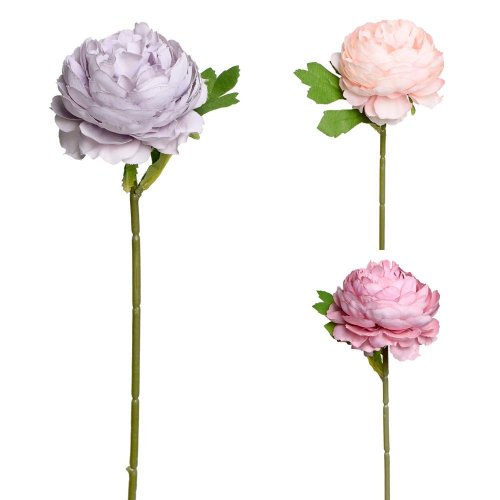 Ks ranunculus 3f 30cm