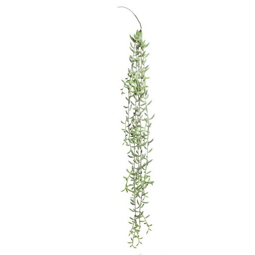 Ťahačka senecio sv.zelený 97cm