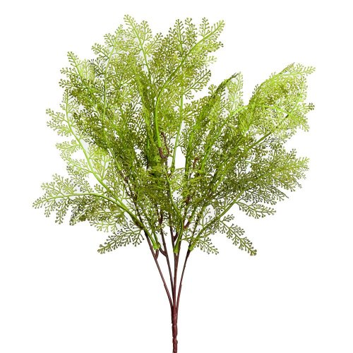 Zápich asparagus 44cm