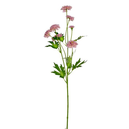 Ks chryzantéma 66cm
