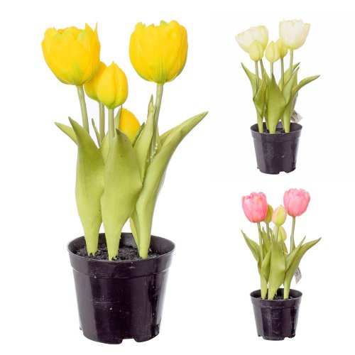 Tulipány v črepníku x5 3f 24cm