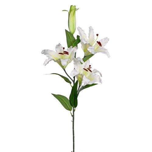 Ks ľalia biela 115cm