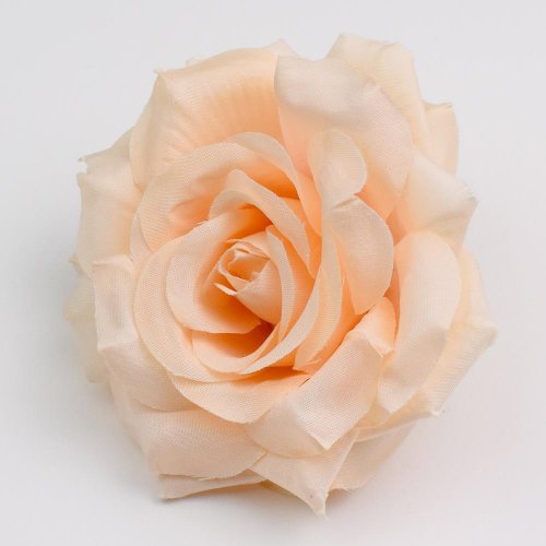 Hlava ruža marhuľová p:9cm bal:24ks