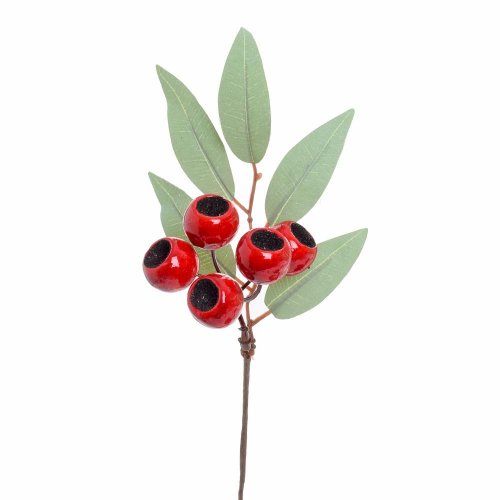 Konárik eucalypt, červené bobule 24cm